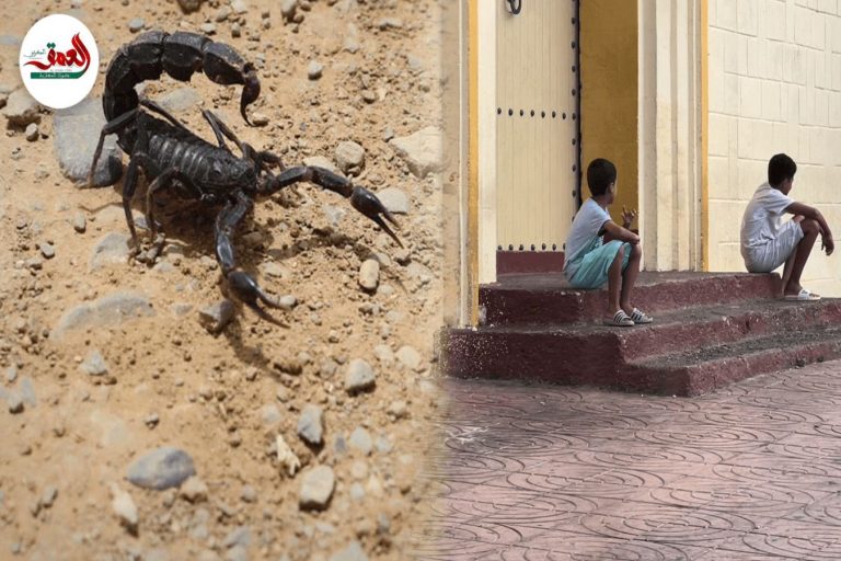 العقارب تقلق راحة ساكنة وزوار “مولاي بوشعيب” ونداء للسلطات لتطويق خطر الزواحف (فيديو)